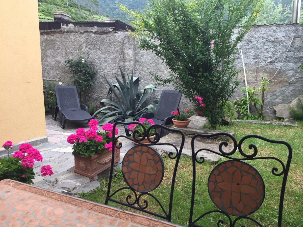 Il Cortile Del Contadino Apartment Volastra